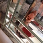 コイケヤ - 隅っこにどんぐりが微笑んでました＾＾