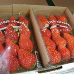 常吉いちご園 - ２月半ばで１ＰＡＣ１０００円。市販流通が中々無い、希少な高級イチゴ♡