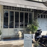 Blue Whale Maharaj - 