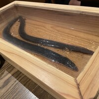 にょろ助 銀座 - 