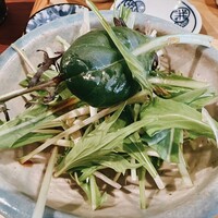 自家製粉石臼挽きうどん 青空blue 本店 - 