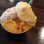 ジェラテリア アクオリーナ - ノッチョーラ ズッカカラメッラート デコポン （630円）