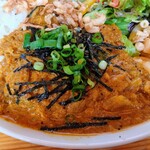 Oshokujidokoro Hamamatsuya - 梅かつお味の印度風みぞれ豚カレー