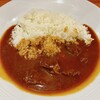 カレーハウススパイシー アポロ店