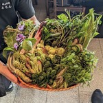 郷土料理ともん - 山菜にお詳しそうな方ばかりで剛さんもノリノリでした、