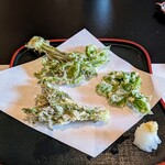 郷土料理ともん - おそらく新潟県のコシアブラの狙い目は来週かと。月山のものもまだという感じでしたので。