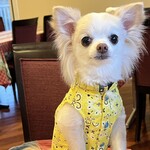 Karuizawa Hotel Soyokaze