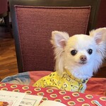 Karuizawa Hotel Soyokaze