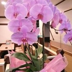 逸品坊 - 綺麗な欄が届いています…