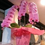 逸品坊 - 祝！開店の花