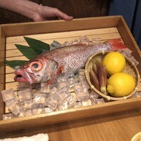 のどぐろ専門 銀座 中俣 - 