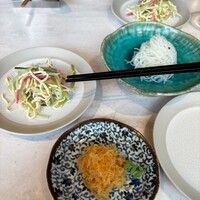 CINA New Modern Chinese - 