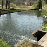 仁世宇園 - 釣り堀