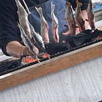 仁世宇園 - 釣った魚調理してもらえます