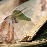 さかな市場  - イカの活け造り