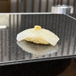 Sushi Kumakura - シロイカ