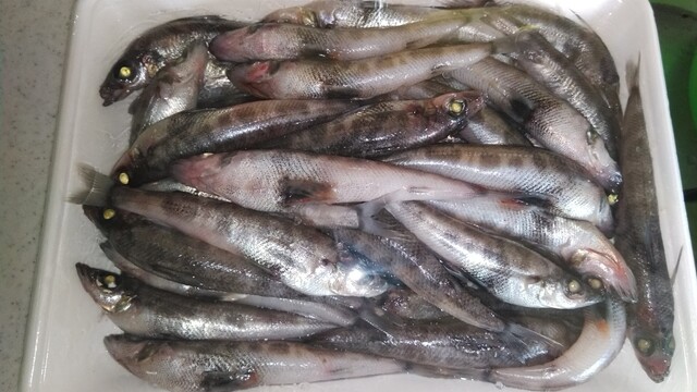 関食品（セキショクヒン） &ndash; 茂吉記念館前の便利コンビニ・スーパー | 上山