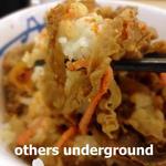 松屋 - 牛めし 並盛