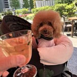 クッチーナ デル カンポ - 白ワインで乾杯♪