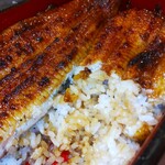 うなぎ 魚政 - うな重、ブランドうなぎ 特上