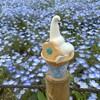 国営ひたち海浜公園 西口売店