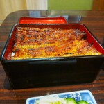 うなぎ 魚政 - うな重、ブランドうなぎ 特上