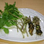 山の仙人 淳  - 天然のわさび