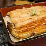 Tokugawa - 