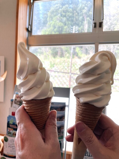 白川温泉　白川荘 - 羽前椿（旅館・民宿）の写真