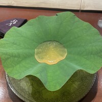 緒乃 - 