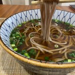 Oshokujidokoro Oishii Tei - 麺