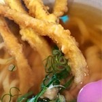 麺工房こうき - 迫力のある ごぼう天！