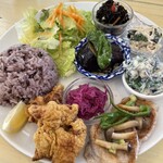 フレッシュティールフナ - 