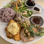 フレッシュティールフナ - 