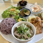 フレッシュティールフナ - 