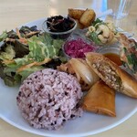 フレッシュティールフナ - 