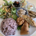 フレッシュティールフナ - 