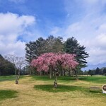 軽井沢72ゴルフ 西コース - 