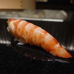 Sushi Kumakura - 車海老