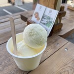 Hilo Homemade Ice Cream - 