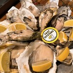 FAST OYSTERS - 