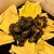 炭火で鳥と鰻 せんゆう - 料理写真:黒さつま地鶏の炭火焼き