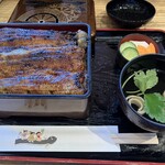 Unagi Chigusa - 