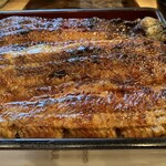 Unagi Chigusa - 