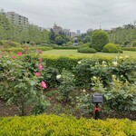 ポトフ料理ジョワ - 