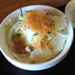 わかの屋 - サラダの美味しい店は料理も美味い。