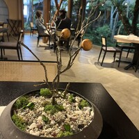 イノベーティブ フレンチ ワタハン - 