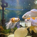 とんかつ三田 - 