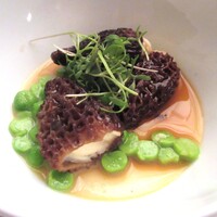 マダム・トキ - 丹波黒どりのムースを詰めたフレッシュモリーユ茸 春香るロワイヤル〈ディナーBコース〉