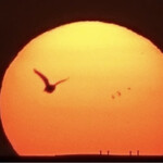 JiProign - 今朝は地平がちょうどよく濃いもやり具合で、太陽は肉眼で見ると透明なオレンジ色の玉のような姿で地平から出て来た。でもあの色はカメラでは取れない。天然のフィルターのおかげで黒点もクッキリ^_^